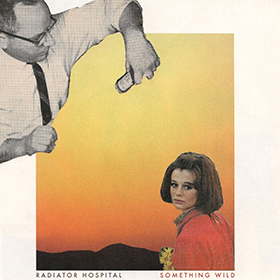 Radiator Hospital — Something Wild